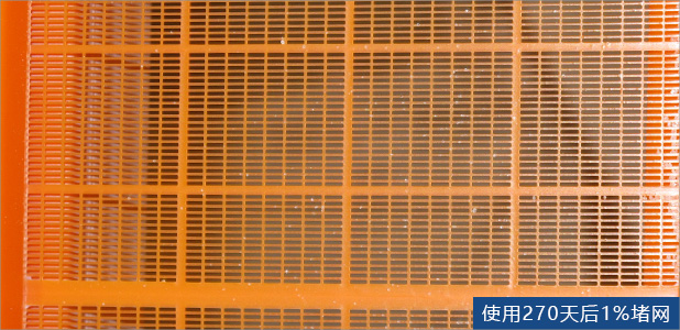 篩板防堵設計 篩板防堵設計