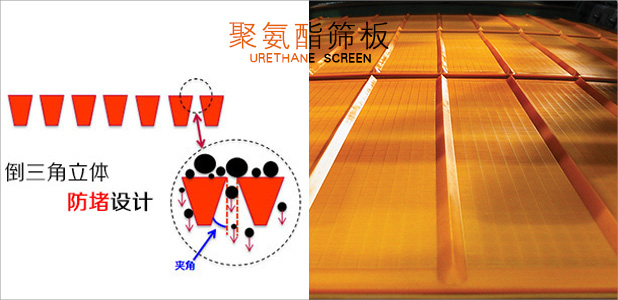 篩板防堵設計 篩板防堵設計