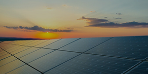 環境保護 環境保護