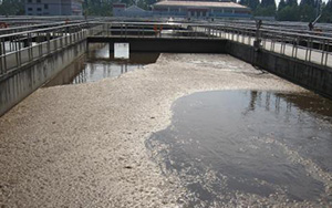 生化池污水處理 生化池污水處理